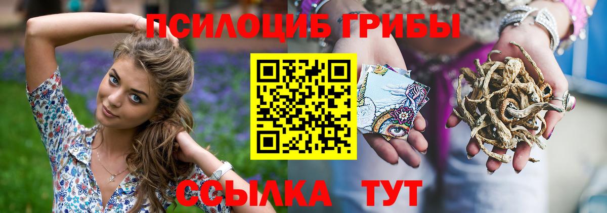 Псилоцибиновые грибы ЛСД  Вход с VPN  Новосибирск 